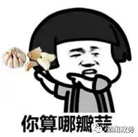  决胜小康我就是从前那个蒜头,美味健康惹人爱
