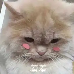  害羞捂脸的表情包我都不好意思了