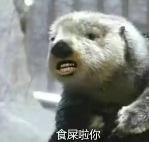  我先笑为敬,哈哈哈哈哈哈哈哈哈哈哈哈哈哈哈
