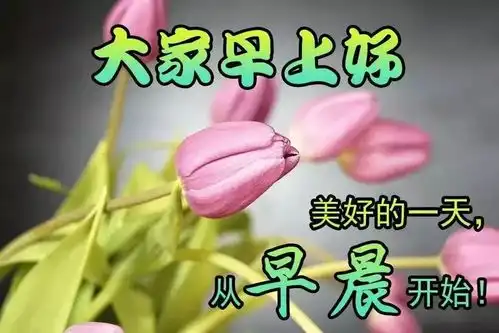  早上好动图表情包图片带字,特别漂亮的早上好图片带问候语
