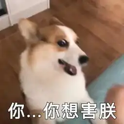  奇葩我被打了有群殴出车祸了姑娘打近10通报警电话