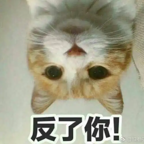  天下第一偷黄庭利试听