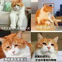  又是充满希望的一天表情包微信头像图片大全