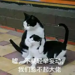  二系榜样之宋慧