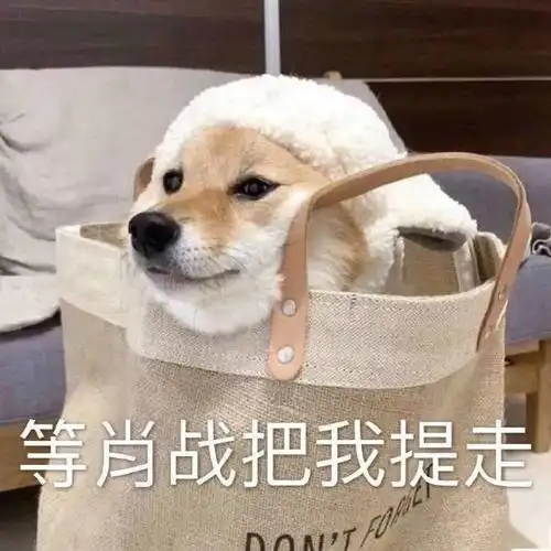  肥美的小生命为何面黄肌瘦只因不懂事的小室还不开仓放粮