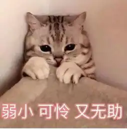  宠界苏大强演技battle你家喵主子可能是个戏精