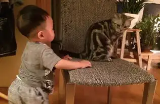  姚晨陪儿子看动画片母子表情神同步