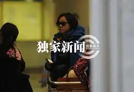  闫妮穿着厚重戴墨镜回京一路狂聊手机