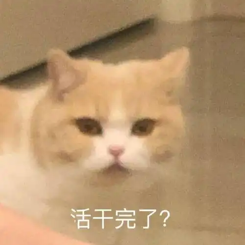  每日精选沙雕表情包