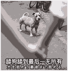  社会万象我死也不会点开这篇推文的,真香