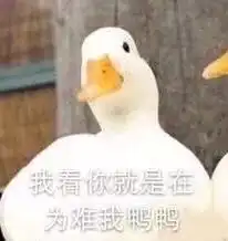  宝贝入我怀鸭子表情包图片大全生气地走了鸭鸭表情包下载乐游网游戏下载