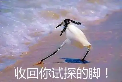  这是我见过最奇葩的高薪职业,没有之一