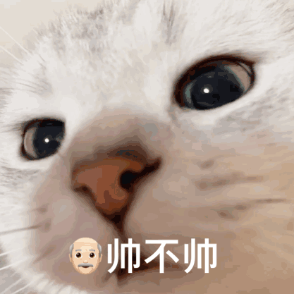 奖励亲亲的表情包沙雕