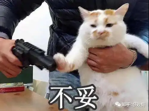 猫爪牵手表情包全套超前消费