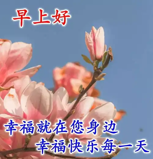  寒冷清晨早上好问候祝福表情图片2022最美早安动态图片表情带字关心的话