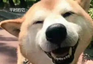  带狗子去做手术,医生笑着跑出来,主人进去一瞧两眼发傻