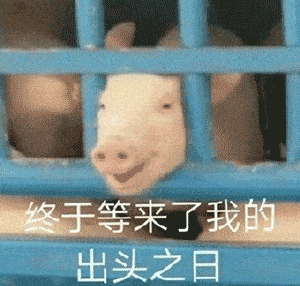  chinajoy第一天干fun人集结,爷青回