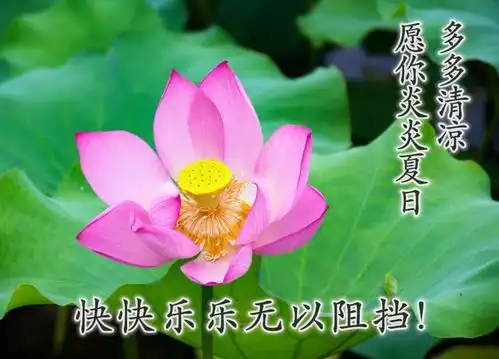  唯美早上好图片带字,带来好运的早安动态表情包早安动态祝福图片