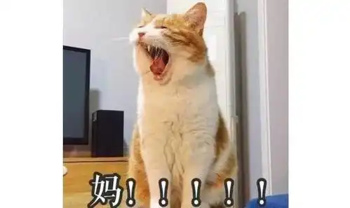  偷扔囤积癖妈妈的东西会怎样因为断舍离,日本一对母女