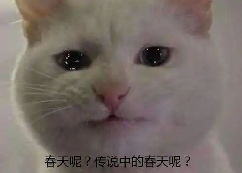  热热热最高36江西接下来的天气跌宕起伏局部强雷电暴雨大风