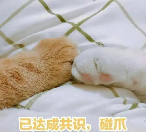  入门级尬聊