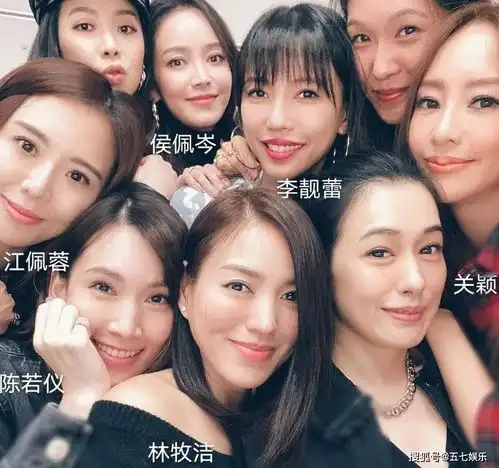  林志颖妻子晒姐妹聚会照,网友感慨这才是名媛群