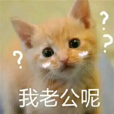  斗图表情包现在手机都这么智能了吗猪都可以拱字了
