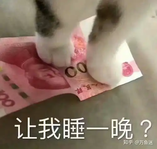 睡觉表情包高清熬夜