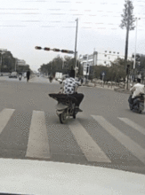 舔狗不得好死表情包gif