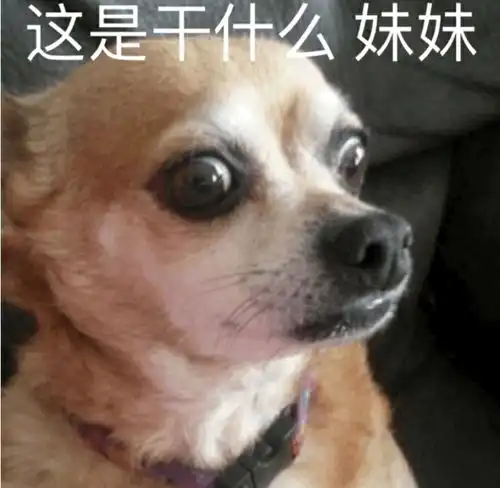  只能沙雕亿点点的,不能沙雕多了的表情包