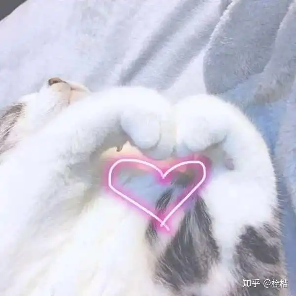  有哪些甜甜的百合之间的故事或者表白时的一些故事