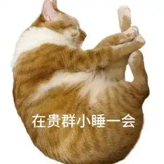  受到惊吓丨第960期喵表情包