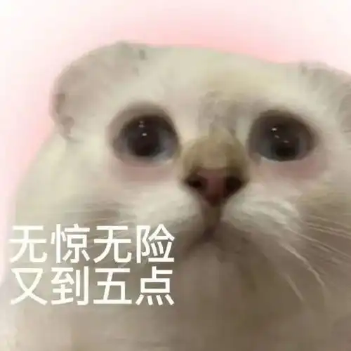  离职时老板给我打了11w这福气什么时候轮到我啊