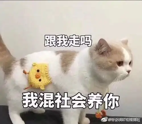 微信里捏胸那个表情包文