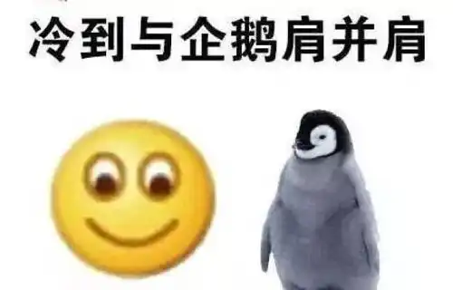  所有人,您有一份来自海拨1700多米的都匀螺丝壳之巅新鲜雾凇请注意查收