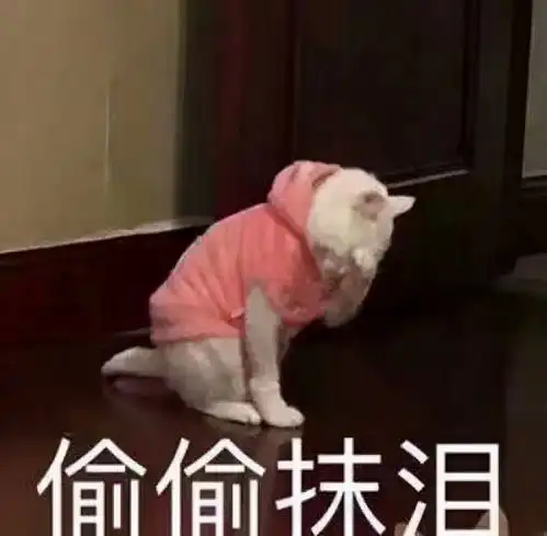  拍桌共鸣的沙雕朋友圈文案终于突破了事业的瓶颈却发现还有瓶盖