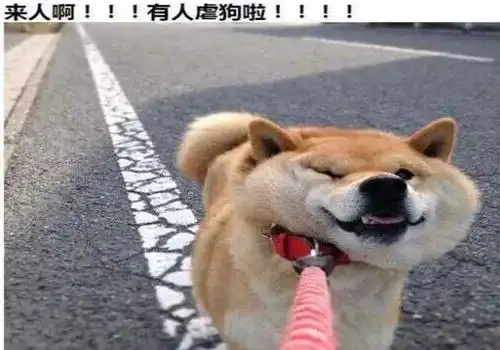 火大表情包图片简笔画柴