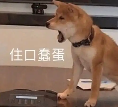沙雕表情包配文搞笑