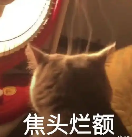  三十六计之春节pk七大姑八大姨