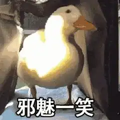  自从用专业知识改了情侣名,女友再也不逼我秀恩爱了
