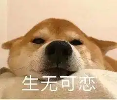  暴雪周报魔兽世界部落玩家被暴打暴雪都看不下去了
