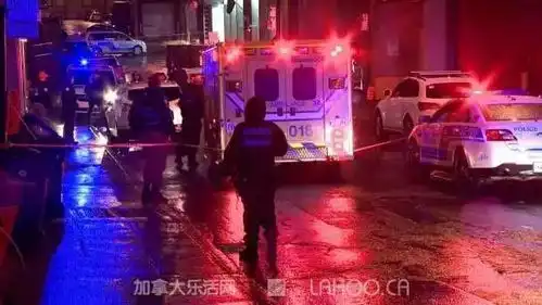  新年第一起凶杀案加拿大华裔女子手刃亲母