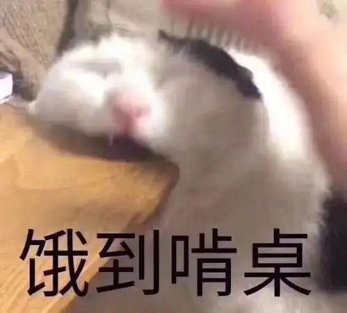  笑话十条小舅子和谈了两年的女朋友分手了,在家里要死要活的
