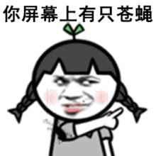  苍蝇爬屏系列表情包下载苍蝇爬屏动态表情大全下载极速下载