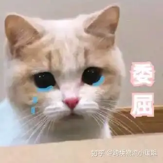  海外仓跨境卖家如何解决退换货问题