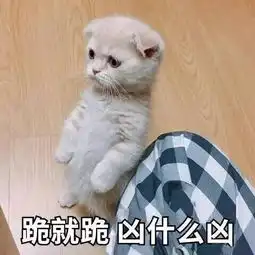  表情包走带你吃屎去吧