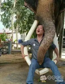 大哥表情包搞笑图片单身