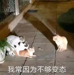 嘟嘟嘟嘟嘟表情包你说
