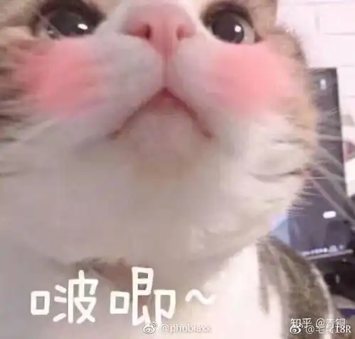 啵唧啵唧表情包于谦