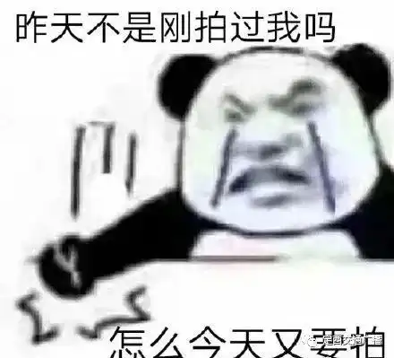  微信重大更新拍一拍终于可以撤回了但小编亲测后发现...